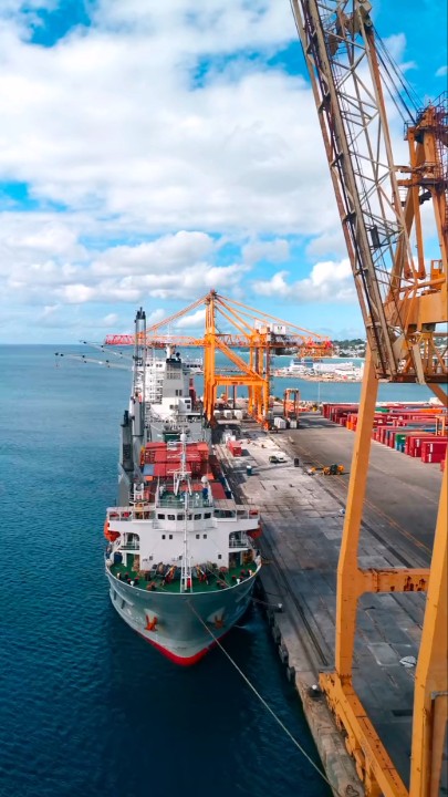 Bulk Carrier Ship at Sea